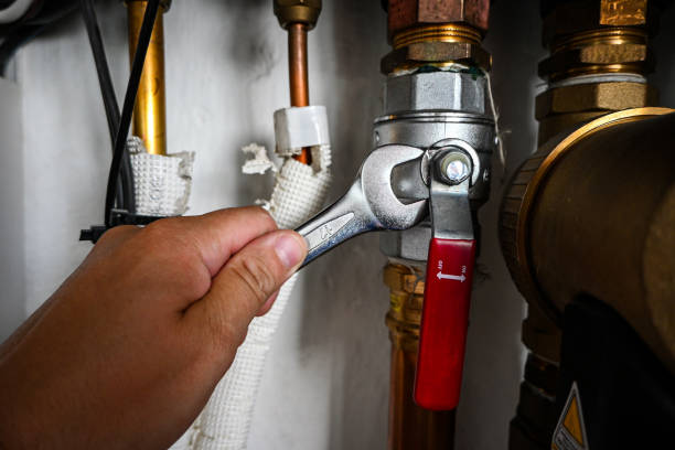 Best Clogged Drain Plumber  in West Milton, PA